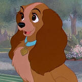 Lady (Lady and the Tramp)